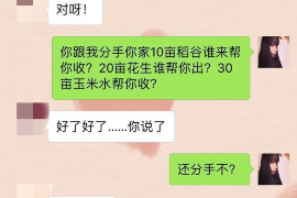 上城如何避免债务纠纷？专业追讨公司教您应对之策